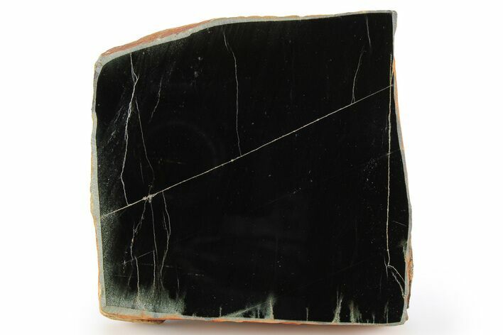 Polished Black Jade (Actinolite) Slab - Western Australia #257002